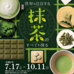 ふじのくに茶の都ミュージアム「世界も注目する　抹茶のすべてを探る」展開催
