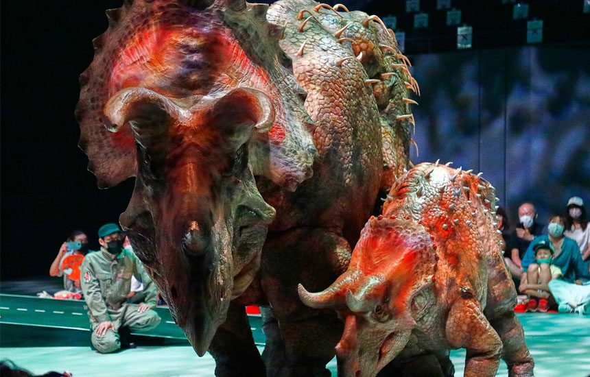 不思議な恐竜博物館