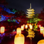 チームラボ 東寺 光の祭 – TOKIO インカラミ