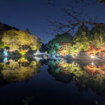 町田薬師池公園四季彩の杜で紅葉ライトアップ実施中