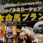 東京）車椅子参加可 観光ハイヤー「冬のイルミネーション本命馬プラン」