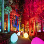 水戸）日本三名園・偕楽園をインタラクティブな光のアート空間に「チームラボ 偕楽園 光の祭 2022」