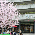 スカイツリーも特別ライティング！東京スカイツリータウン(R)春のイベント