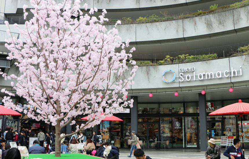 東京スカイツリータウン春のイベント