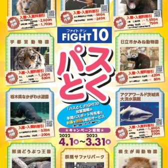 FIGHT10「パスとく」キャンペーン