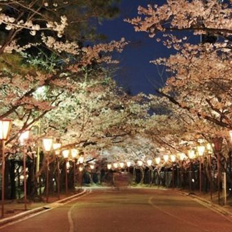 日岡山公園 ぼんぼりライトアップ
