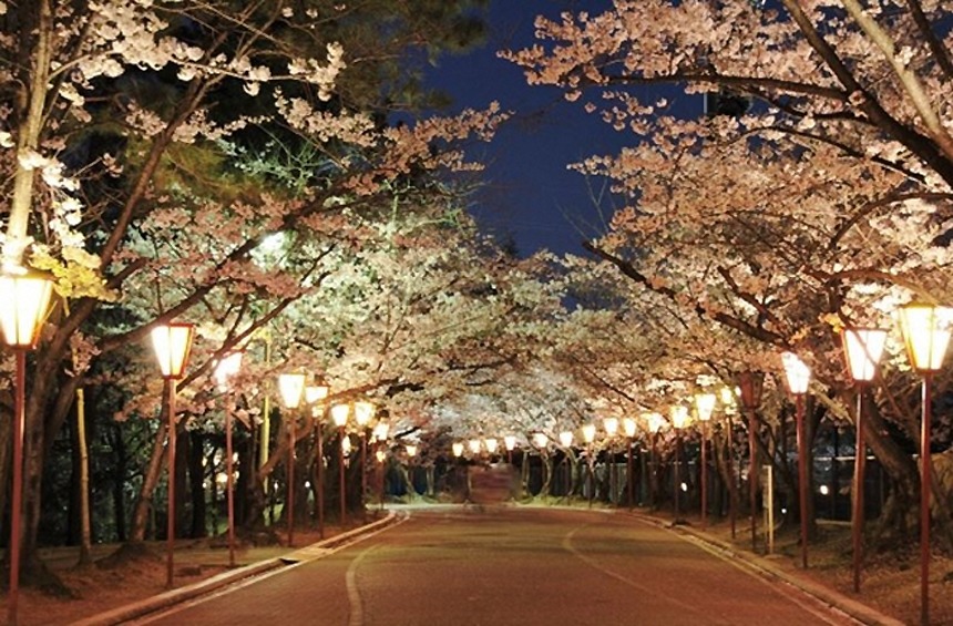 日岡山公園 ぼんぼりライトアップ