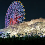 東武動物公園で夜間イベント『春のナイトZOO』が開催