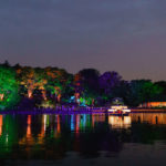 千葉公園が光と音楽で包まれる！「YohaS 2022 Blooming NIGHTS」