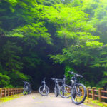兵庫県下唯一の森林セラピーロードに電動アシスト付きマウンテンバイクが導入