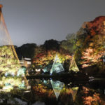東京）紅葉最盛期の「肥後細川庭園」が幻想的にライトアップ