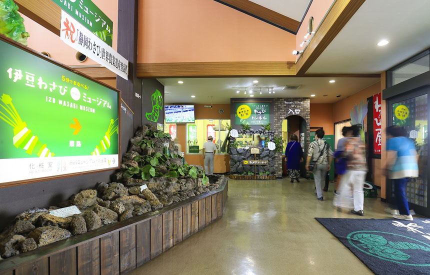 伊豆わさびミュージアム