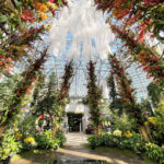 淡路島）日本最大級の温室「あわじグリーン館」が世界のランであふれる「あわじオーキッドフェスティバル2023」