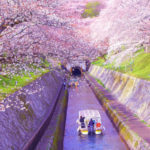 滋賀）びわ湖疏水船 2023年春シーズンの予約販売受付が開始