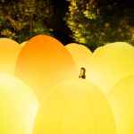 夜の金沢城を光のアート空間に変える「チームラボ 金沢城 光の祭」