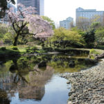 東京）小石川後楽園の庭師の親方による庭園ガイド！「庭さんぽ～大堰川の修景編～」