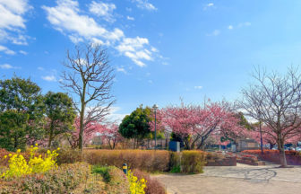 橋本公園