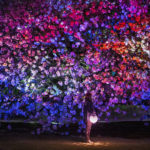 東京）新宿御苑で希少な八重桜にプロジェクションマッピング『NAKED桜の新宿御苑2023』