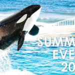 千葉）鴨川シーワールドが4年ぶりにイベント盛沢山！『SUMMER EVENT 2023』開催