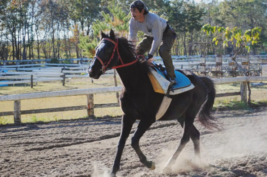 松原ステーブルス