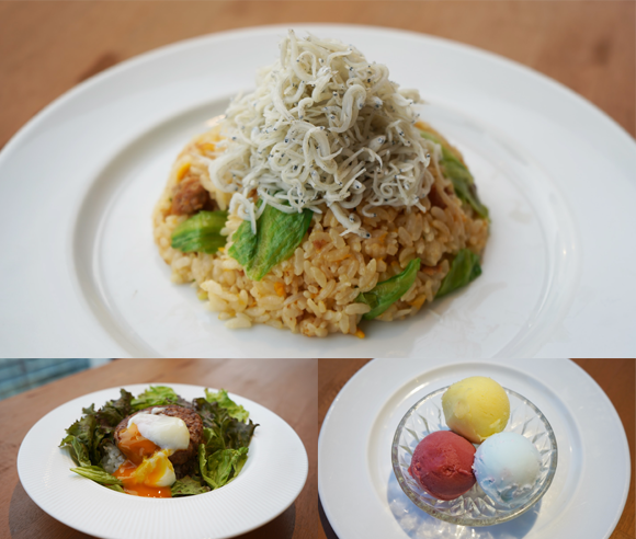 OPEN HOUSE ICE BEACH