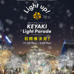 和歌山けやき大通りイルミネーション「KEYAKI LIGHT PARADE by FeStA LuCe」