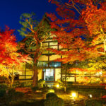 京都嵐山の紅葉スポット「鹿王院夜の特別拝観2023」