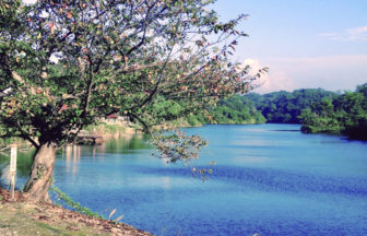 蟠竜湖