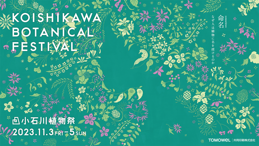 小石川植物祭2023