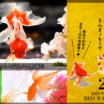 東京）アートアクアリウム美術館 GINZAで「金魚詣（きんぎょもうで）」