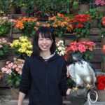 静岡県）富士花鳥園の2024年お正月特別イベント『大型のタカ「アポロン」にごはんをあげてみよう！』