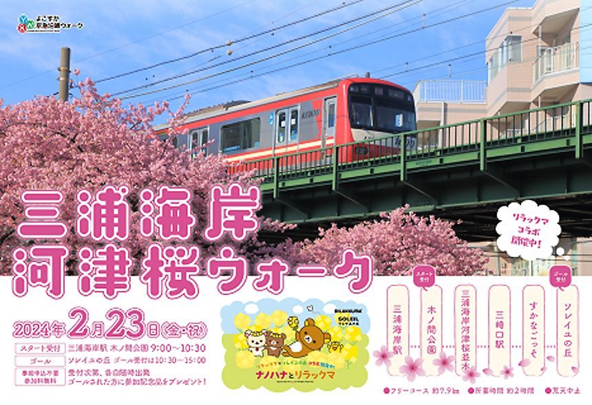 三浦海岸河津桜ウォーク