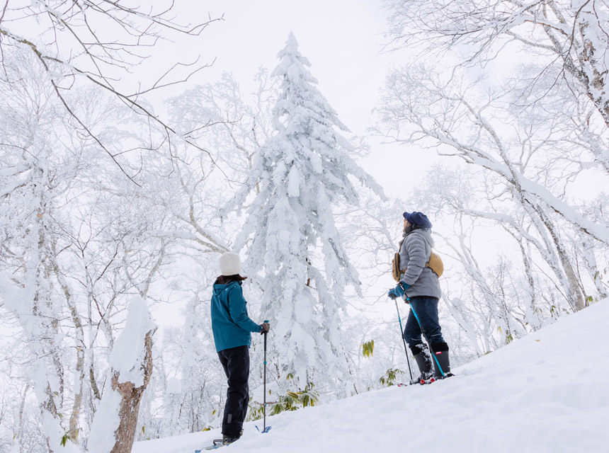 洞爺湖 オリジナルスノーシューツアー