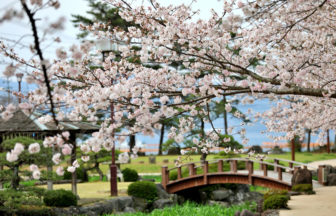 長崎県の婚活デート向きお花見スポット