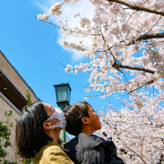 おおたの桜 マラニックツアー