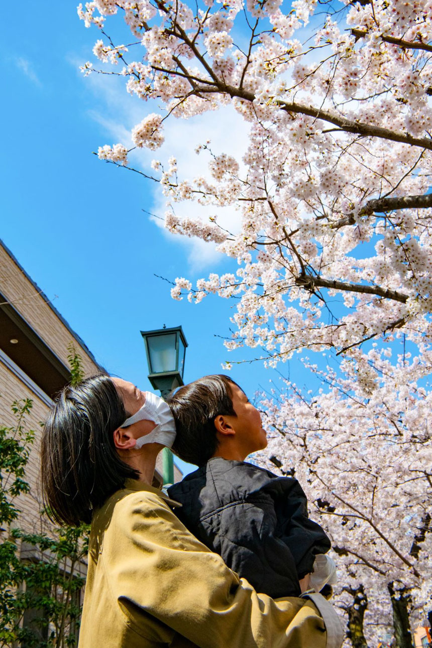 おおたの桜 マラニックツアー