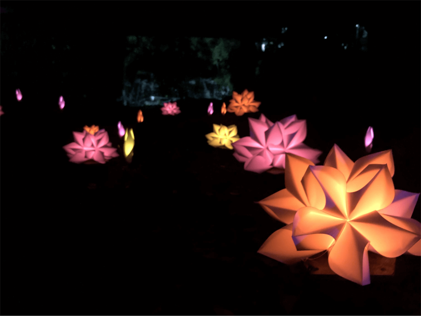 第二回 流山本町ナイトマルシェ