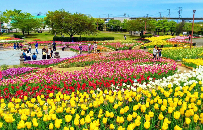 道の駅 新潟ふるさと村 ‎