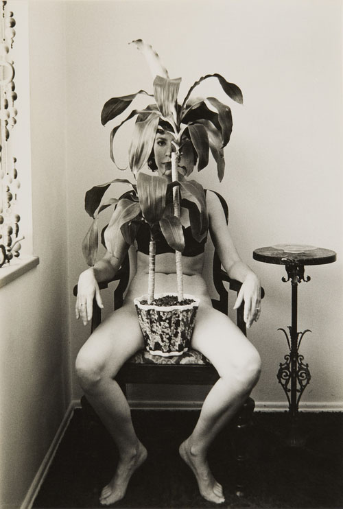 清里フォトアートミュージアム 写真と肖像 顔から風景へ