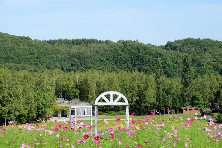 国営滝野すずらん丘陵公園「コスモスフェスタ」