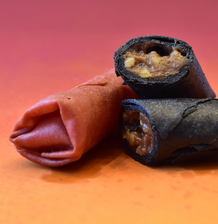 ゴジラVS江の島-えのすい怪獣大決戦-