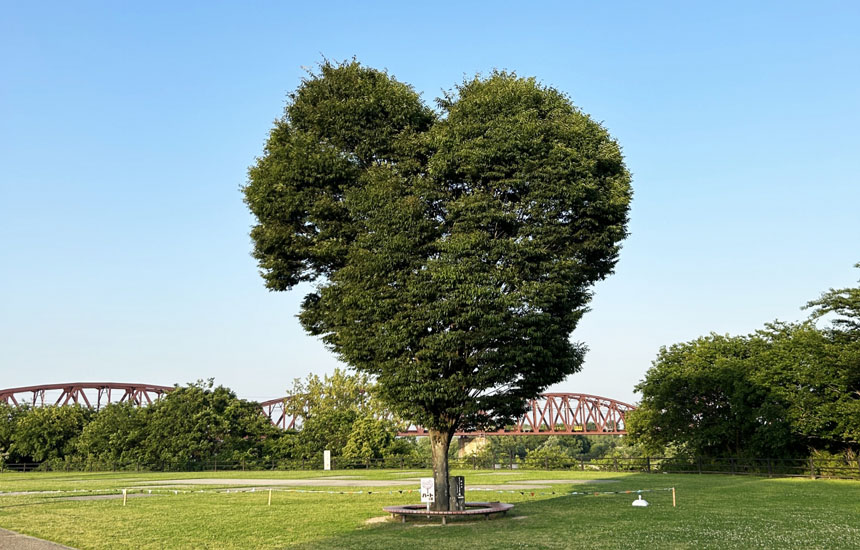 笠松みなと公園