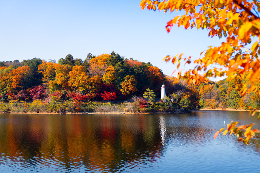 ムーミンバレーパーク 紅葉イベント