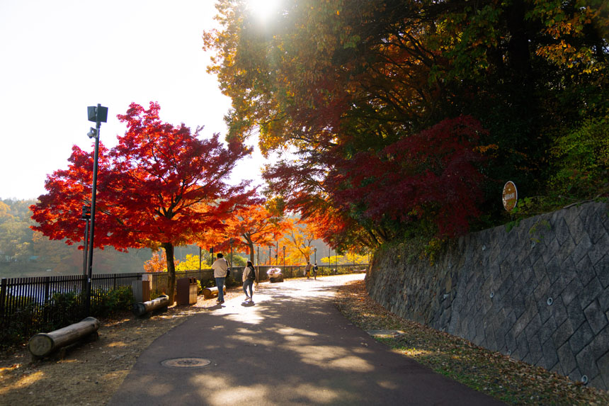 ムーミンバレーパーク 紅葉イベント