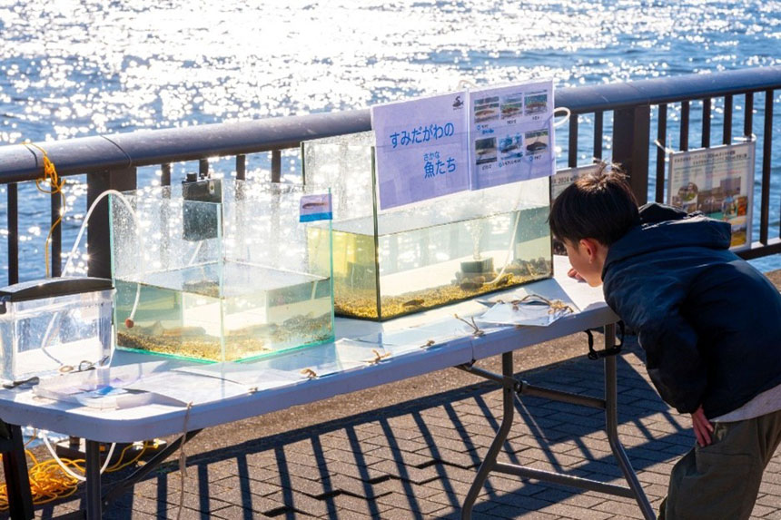 すみだがわミニ水族館