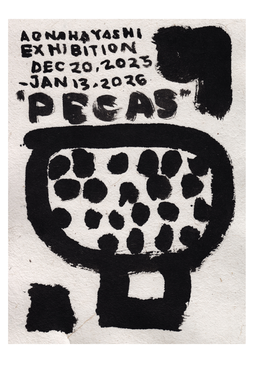 林青那氏 個展「Pecas」