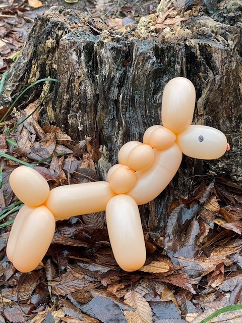 那須千本松牧場 迎春祭り