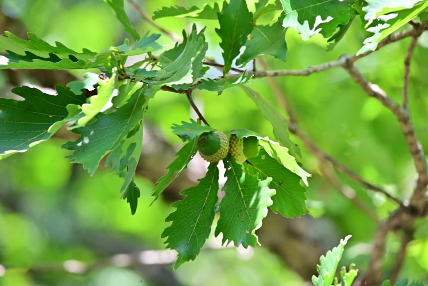 愛知県陶磁美術館 全館リニューアル