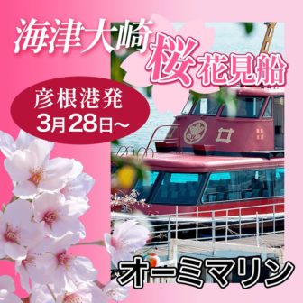 海津大崎桜お花見クルーズ