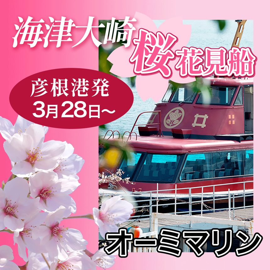 海津大崎桜お花見クルーズ